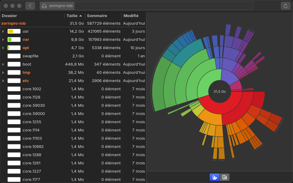 Capture d’écran du programme Baobab (analyseur de disques de l’environnement GNOME).